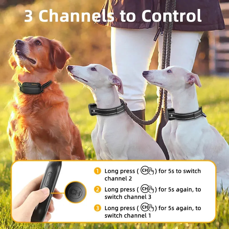 BowLift | ProTrain – Rechargeable Waterproof Dog Training Collar with Remote