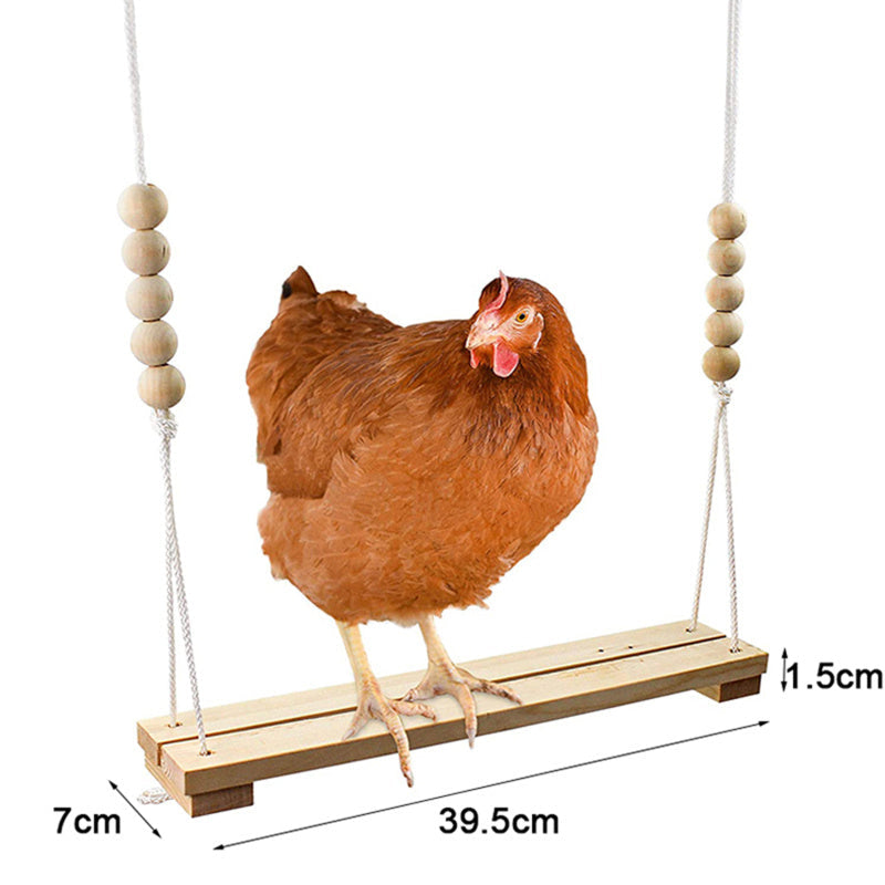 BowLift | Chicken Swing Toy