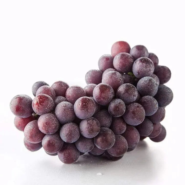 BowLift | Together for seedless grape vine – Low maintenance & no trellis required