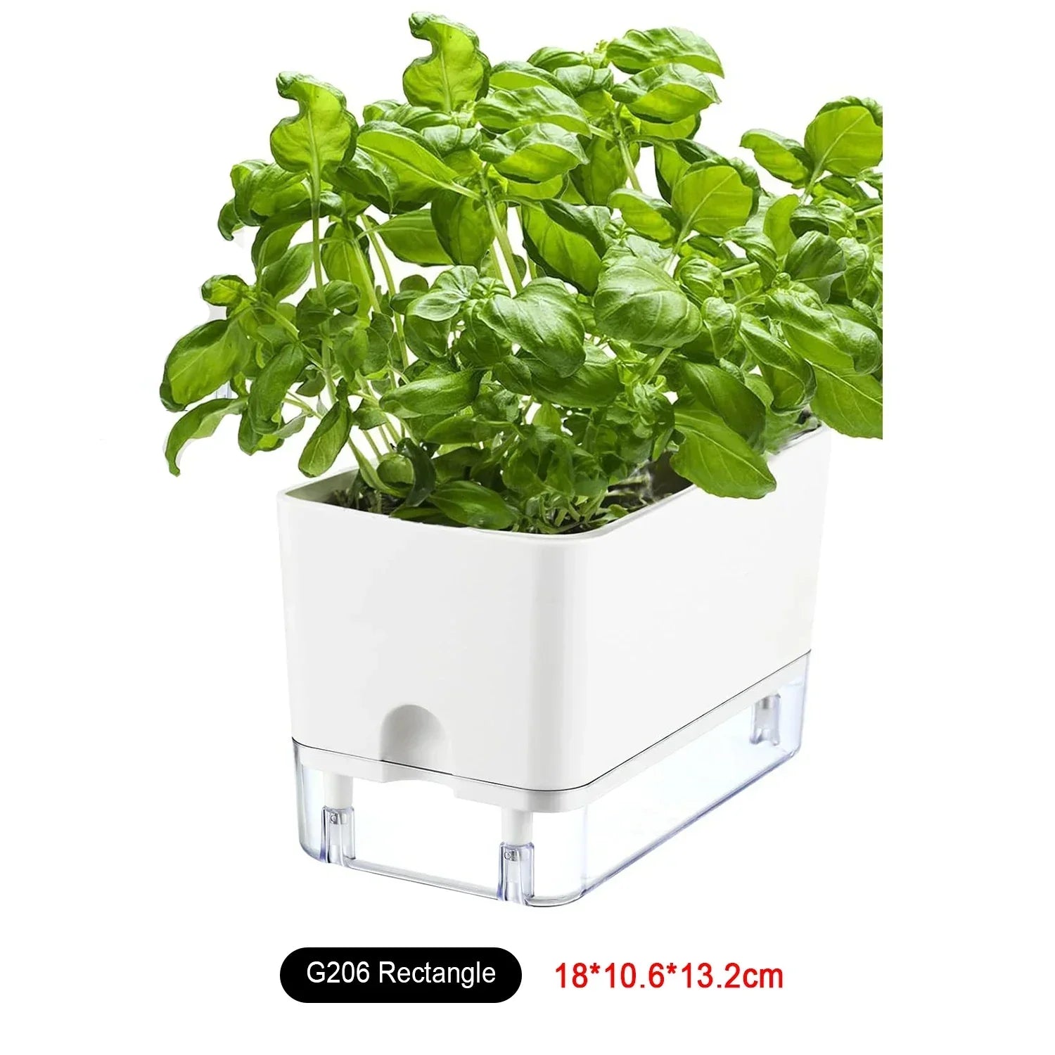 BowLift | HydroLino Flower Pot | Self-Watering | Compact & Transparent | For Indoor Use