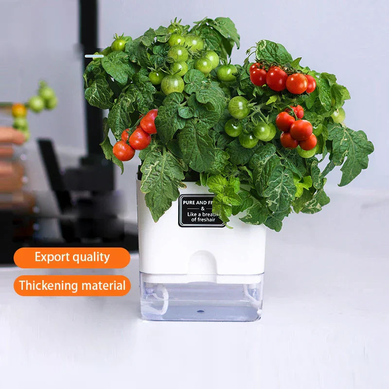 BowLift | HydroLino Flower Pot | Self-Watering | Compact & Transparent | For Indoor Use