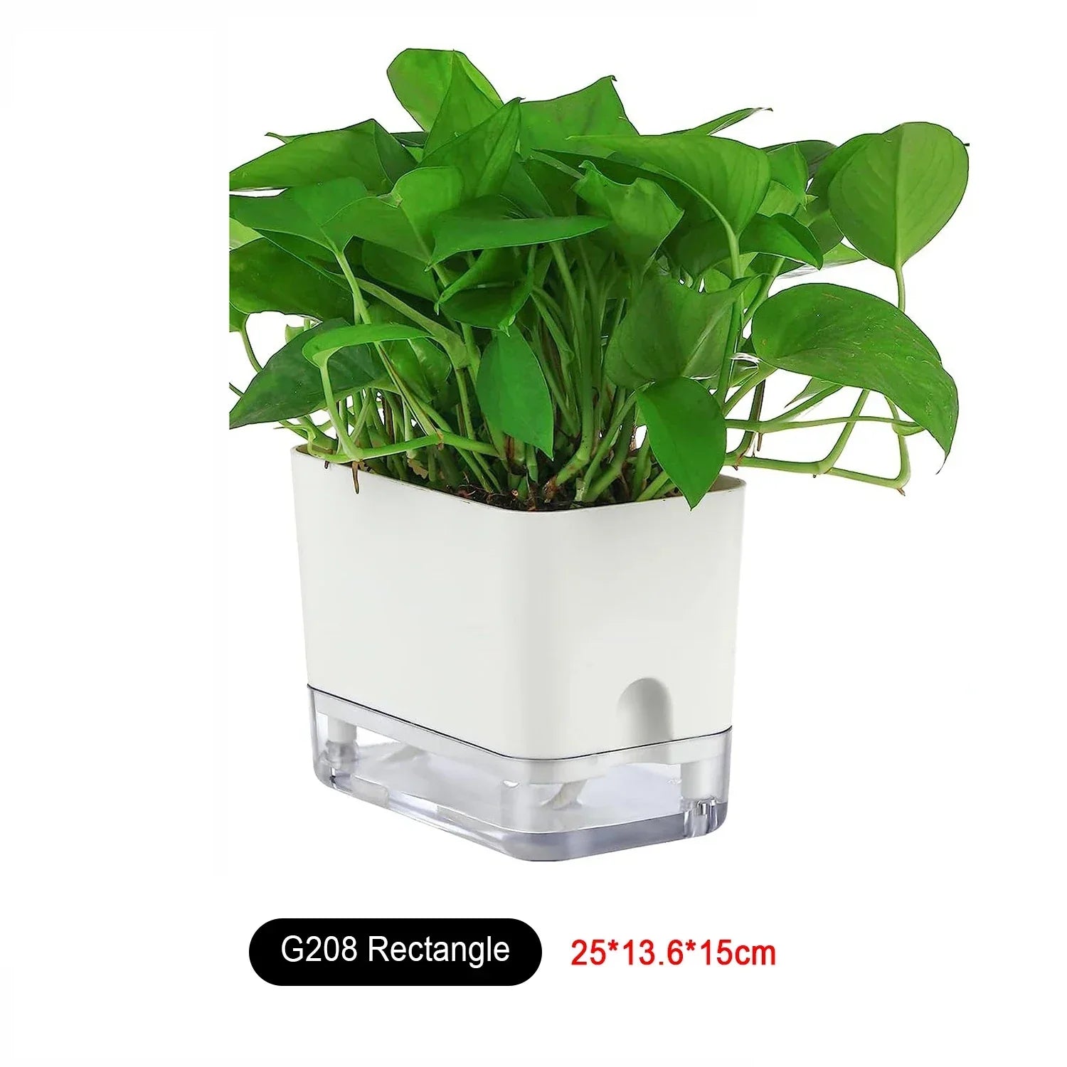 BowLift | HydroLino Flower Pot | Self-Watering | Compact & Transparent | For Indoor Use