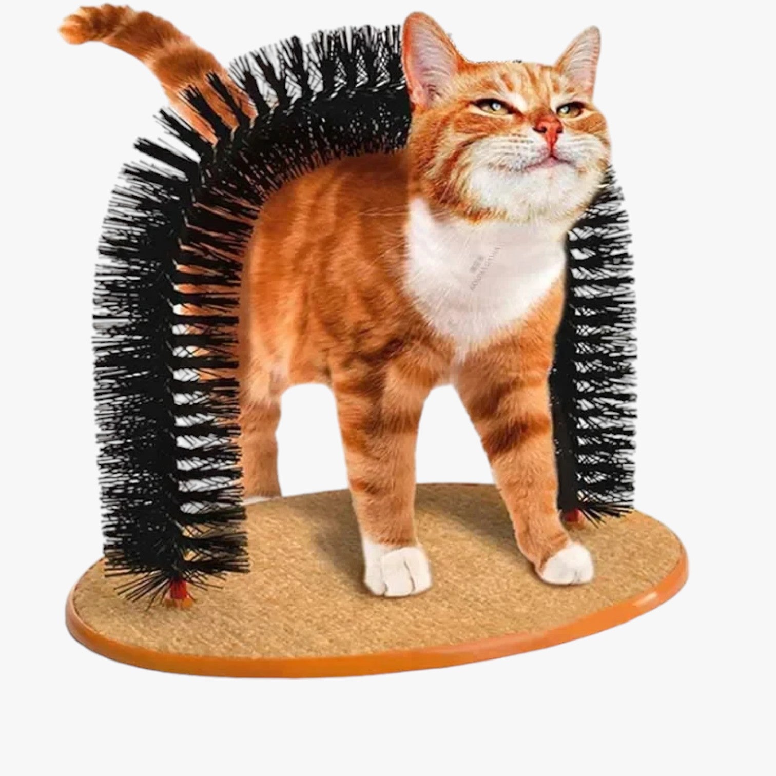 BowLift | Cat Care Arch "Spinkrul" with Scratching Mat and Massage Function