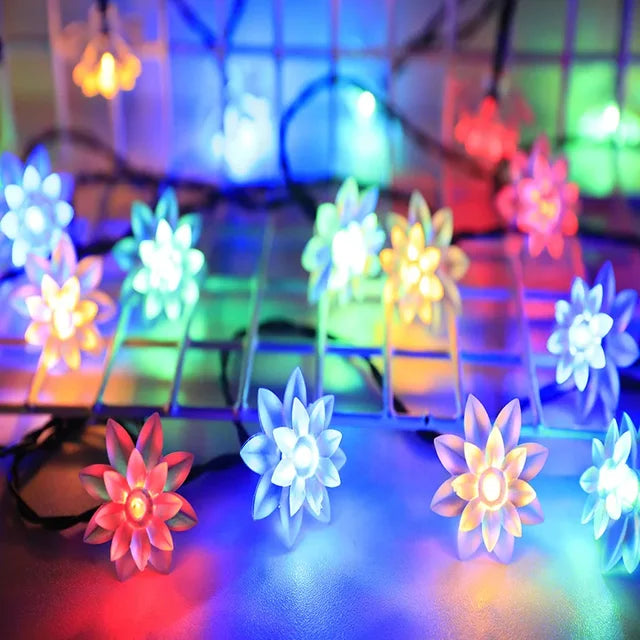 BowLift | Peach Blossom Fairy Lights