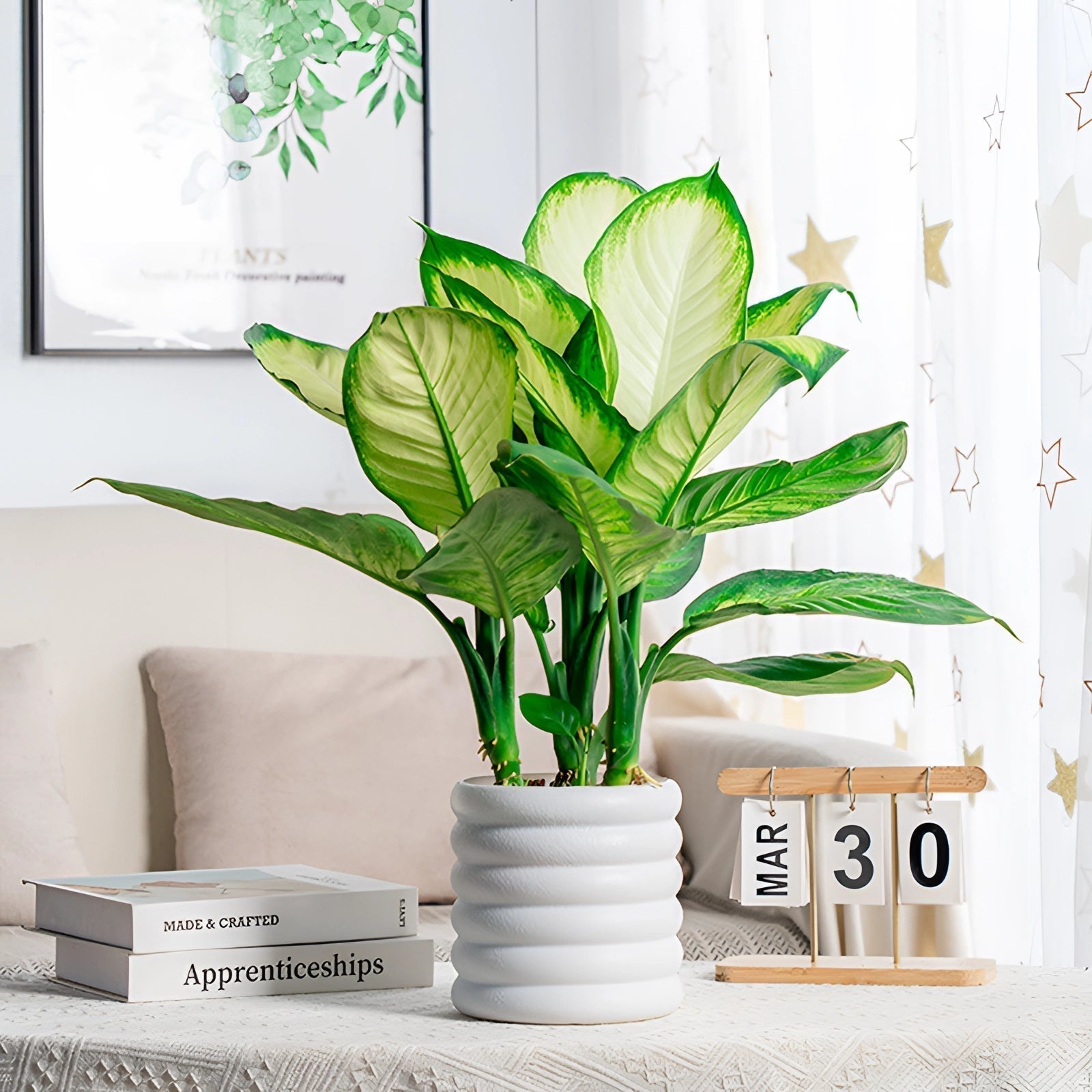 BowLift | PureLeaf – Stylish air-purifying houseplant for a fresh and elegant atmosphere
