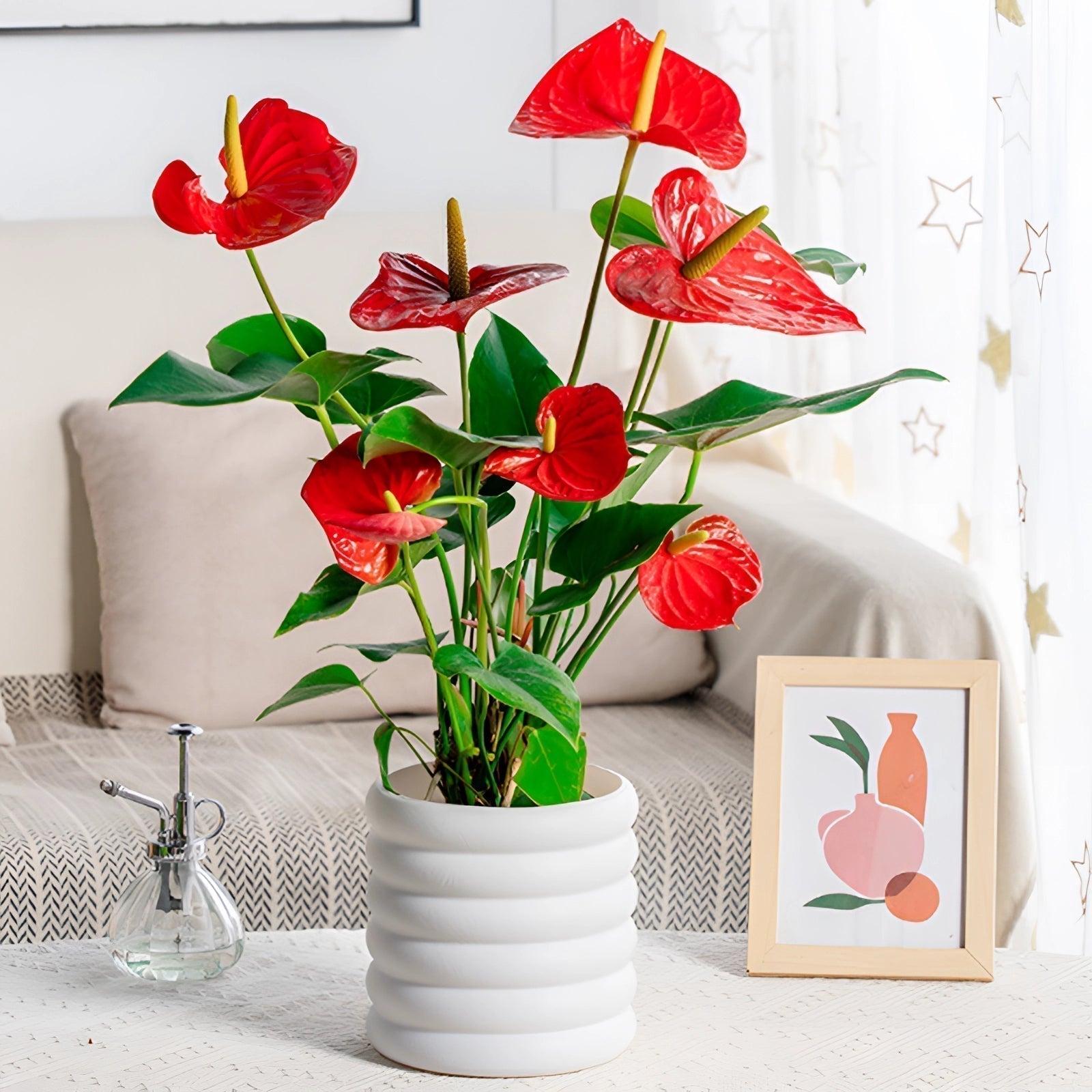 BowLift | PureLeaf – Stylish air-purifying houseplant for a fresh and elegant atmosphere