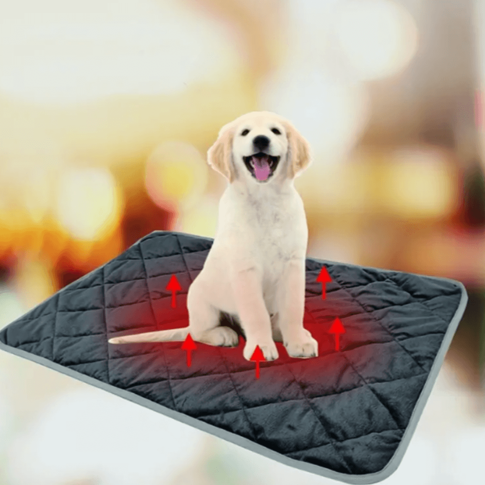 ToastyPaws Dog Self-Heating Pad