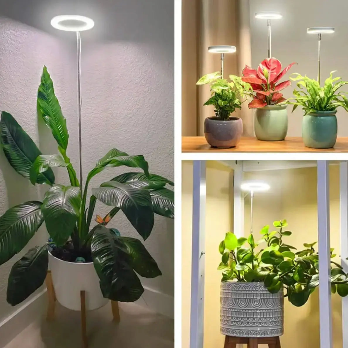 BowLift | Adjustable LED Plant Lamp – Optimal Light for Healthy Growth