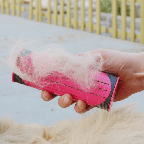 BowLift | 3 in 1 Deshedding Undercoat & Fur Brush