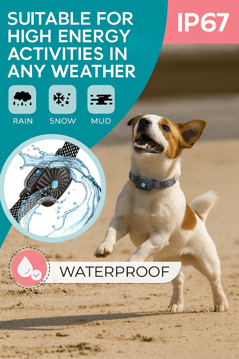 BowLift | BarkLess Nano – Gentle Anti-Bark Collar for Puppies & Small Dogs