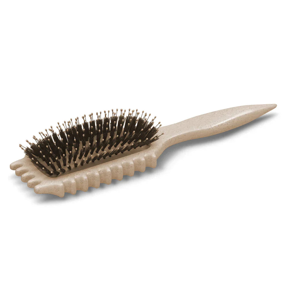 BowLift | CurlDefine | Anti-Frizz Detangling Brush for Curly Hair