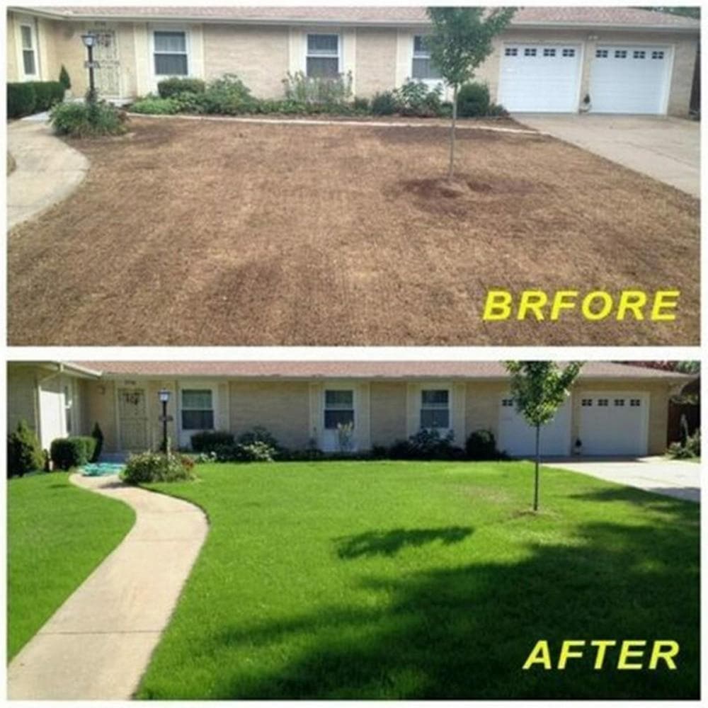 BowLift | Biodegradable Grass Seed Protector Mat