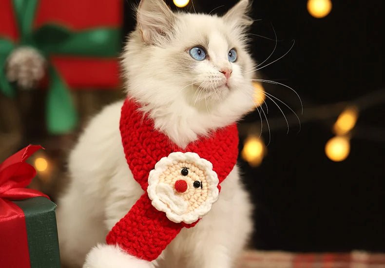 BowLift | Christmas Pet Scarf & Hat – Adorable Red Scarf for Kittens & Puppies, Perfect Holiday Gift & Festive Accessory