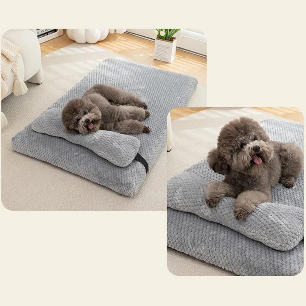 ComfyPaws • Anti - Stress Dog Bed - Dog Bed - BowLift