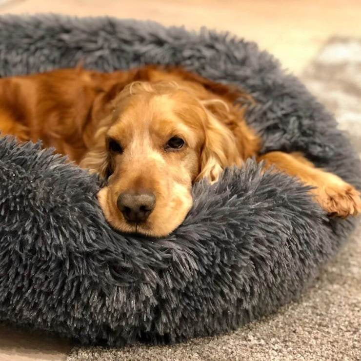 BowLift | Calming Faux Fur Washable Dog Bed Cushion
