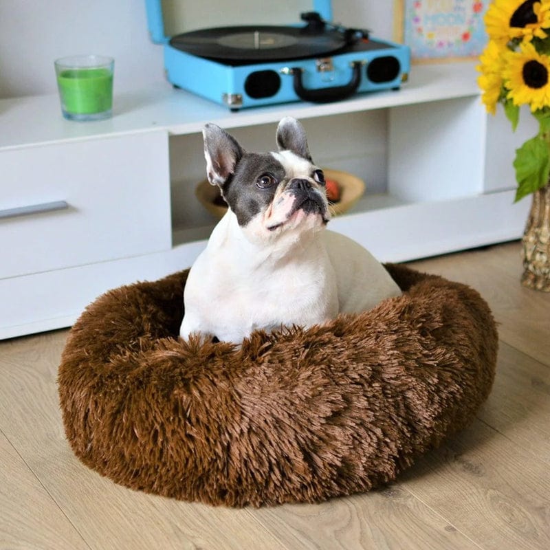 BowLift | COZYPET – Calming Dog Bed with Plush Faux Fur & Removable Cover