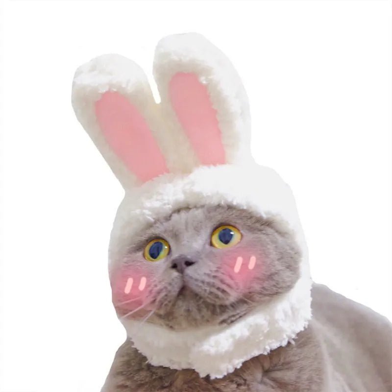 BowLift | Cute Rabbit Hat for Pets – Perfect for New Year & Christmas Cosplay, Party Photo Props