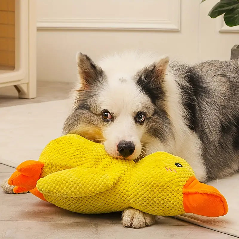 BowLift | Dog Toy Plush Duck for Mental Stimulation