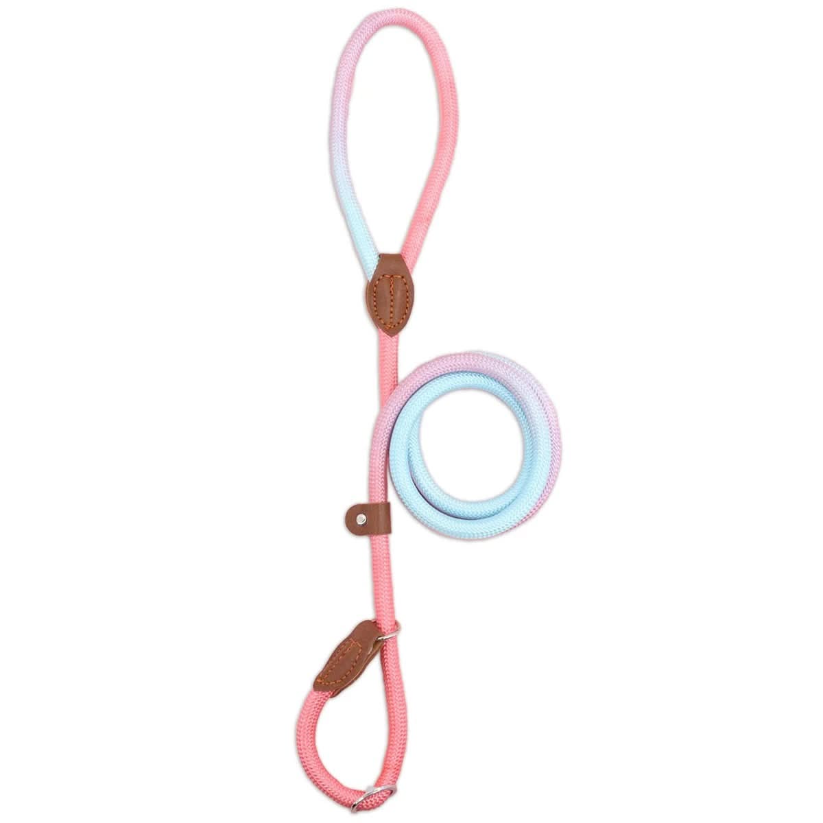 BowLift | Colorful Dog Leash for Stylish Walks