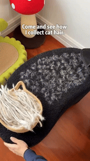 BowLift | GroomEase Pet Hair Remover Glove