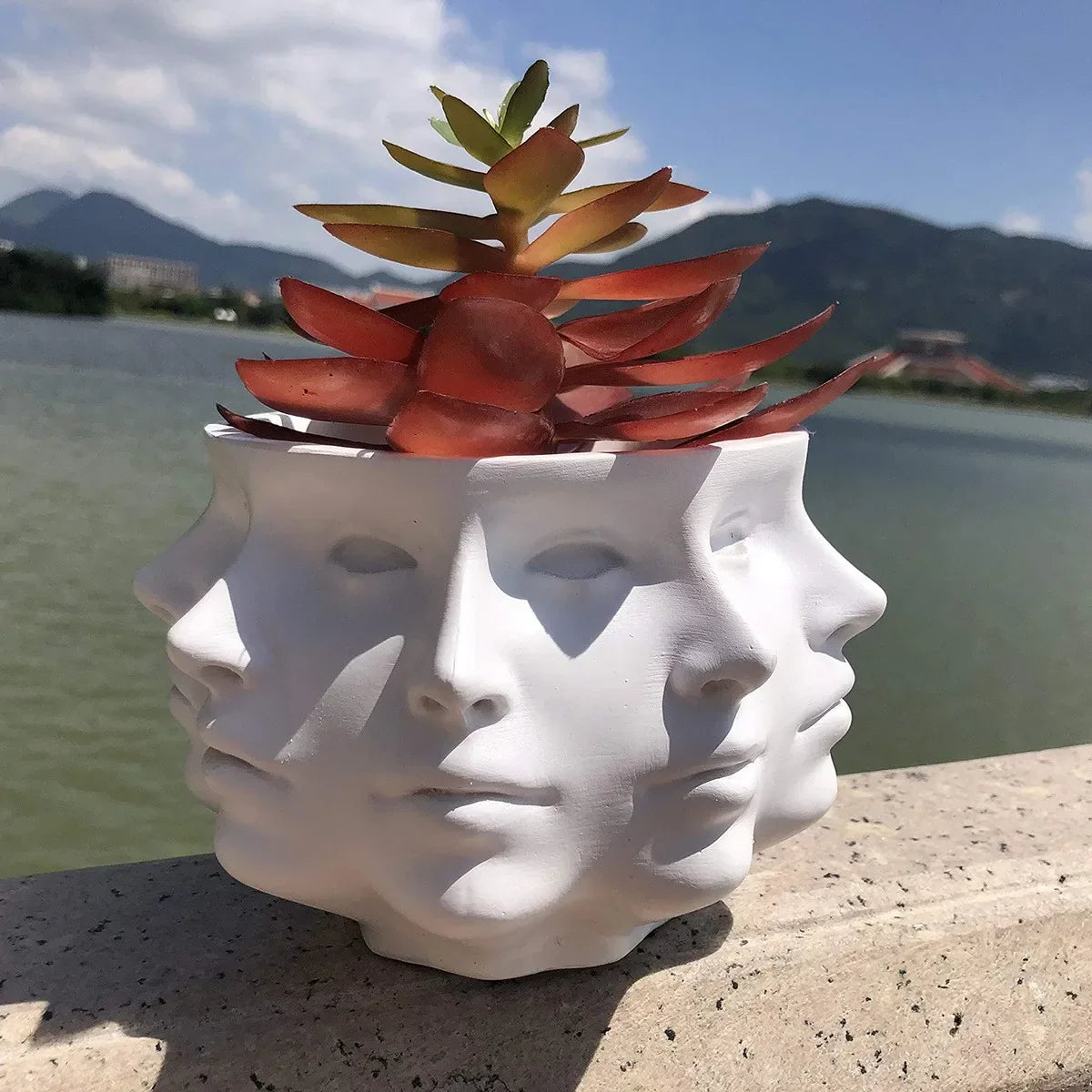 BowLift | FaceBloom 3D Face Planter