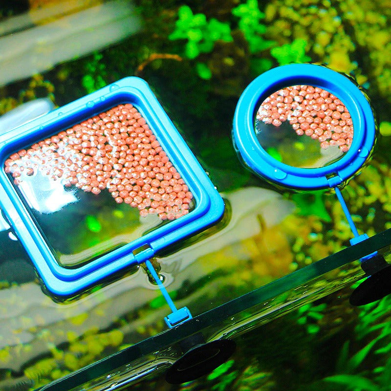 BowLift | Aquarium feeding ring