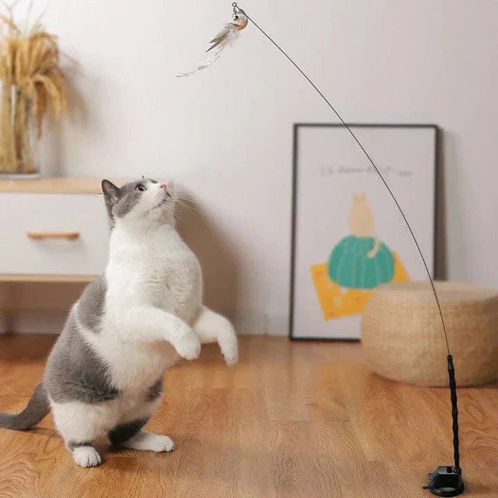 BowLift | FLATTERFRIEND – Interactive Cat Toy with Fluttering Wing Movements