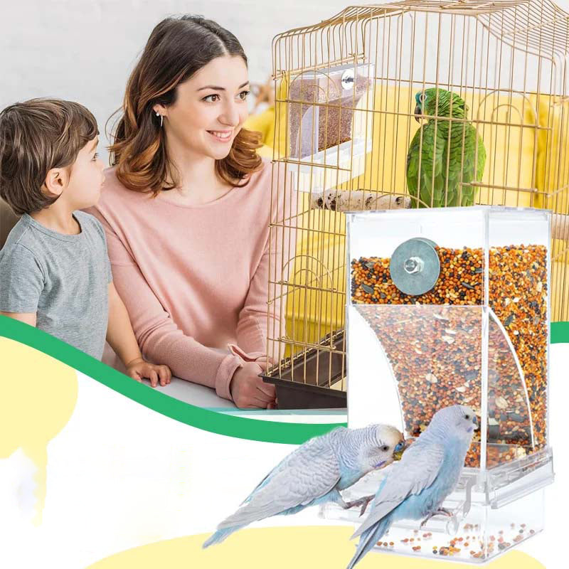 BowLift | Automatic transparent bird feeder without spills