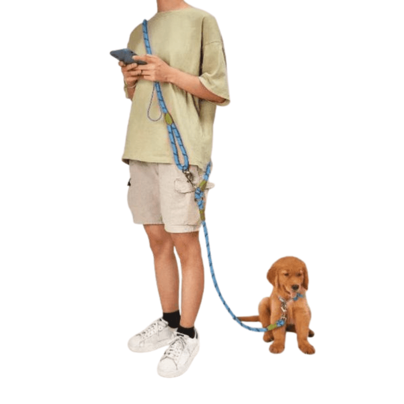 BowLift | FREEDOMLEAS – Hands-Free Dog Leash with Waist Belt
