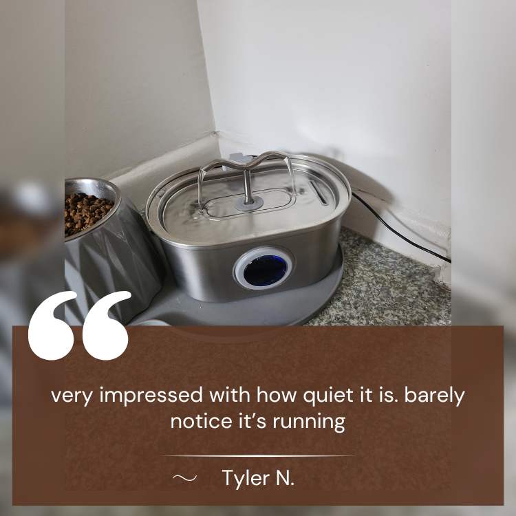 BowLift | Cat Water Fountain made of Stainless Steel – Quiet, Hygienic and BPA-free – 2L Capacity