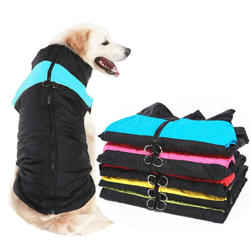 BowLift | FrostPaw – Winter Jacket for Dogs with Protection and Comfort