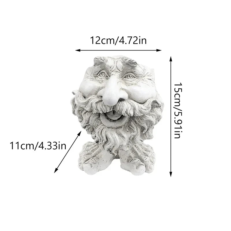 BowLift | Funny Face Resin Succulent Planter - GigglePot