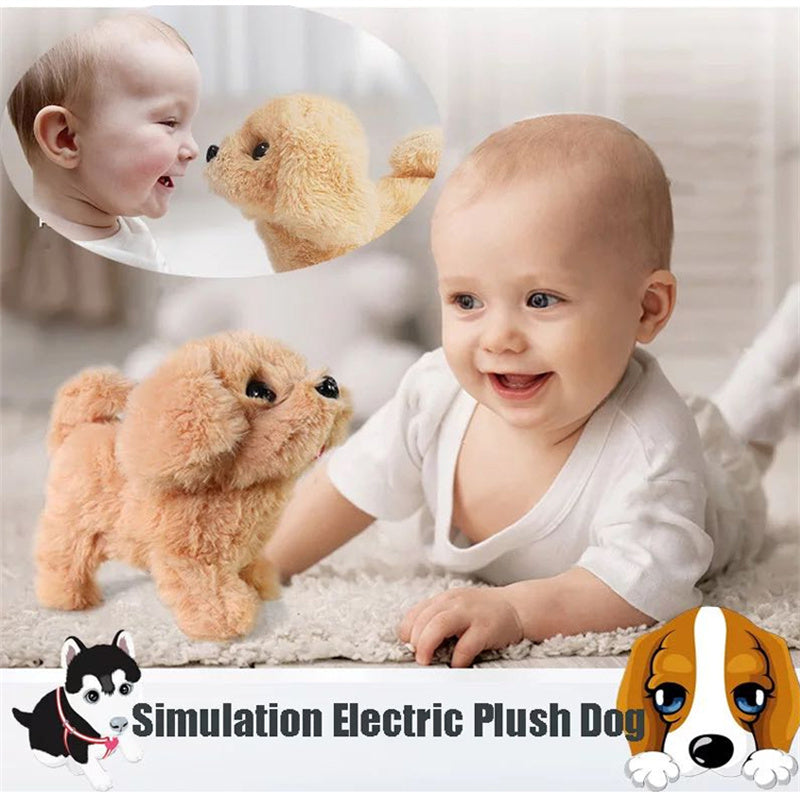 BowLift | Interactive Simulation Toy