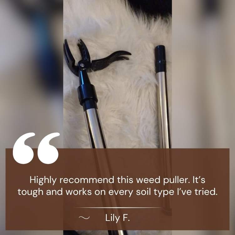 BowLift | Heavy-Duty Weed Grabber | Durable Steel Tip for Easy Root Removal in All Soil Types