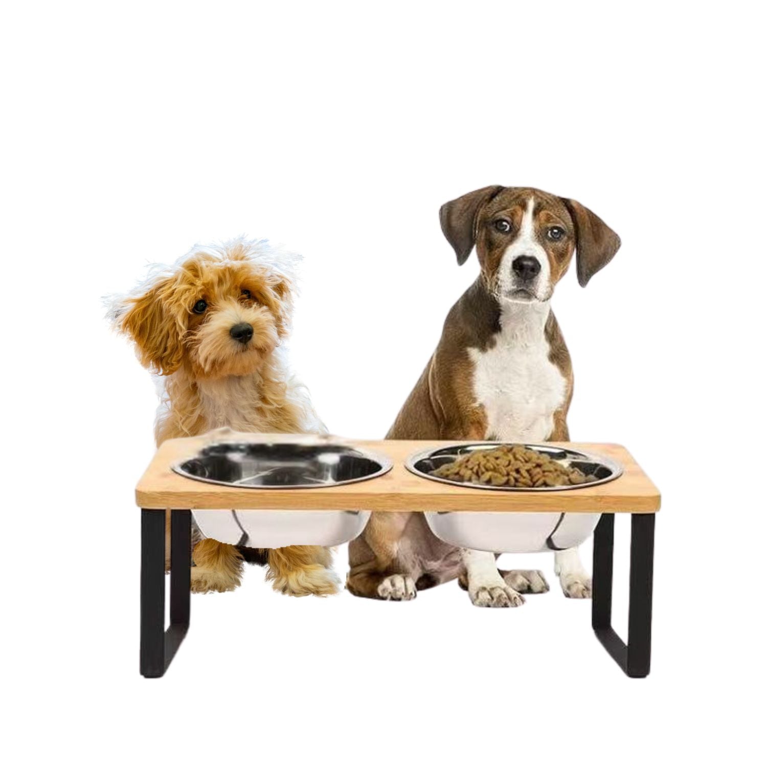 BowLift | Elevated Dog Food Bowl – Bamboo Stand with Removable Stainless Steel Bowls