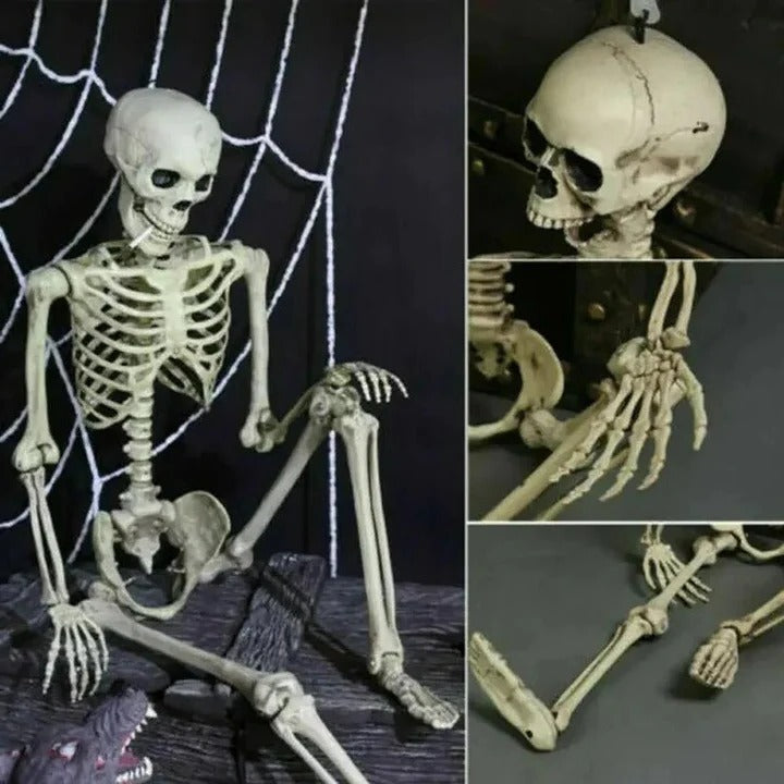 BowLift | Creepy Poseable Skeleton for Halloween Decorations