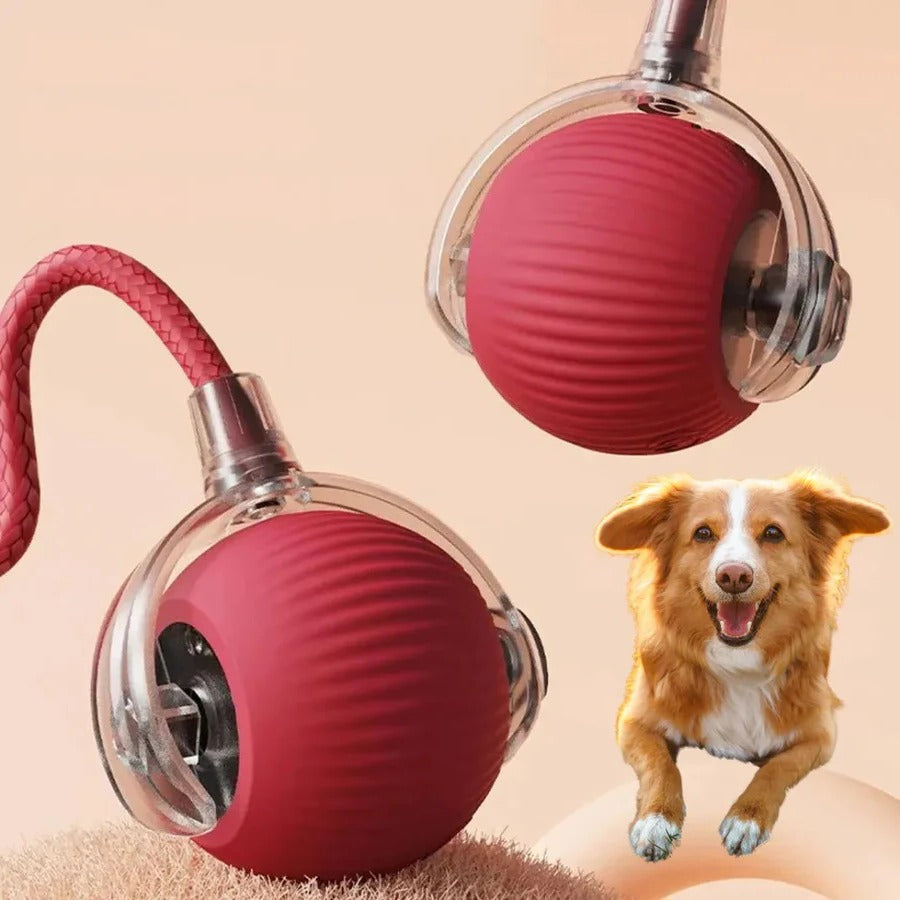 BowLift | Active Rolling Ball with Tail for Dogs