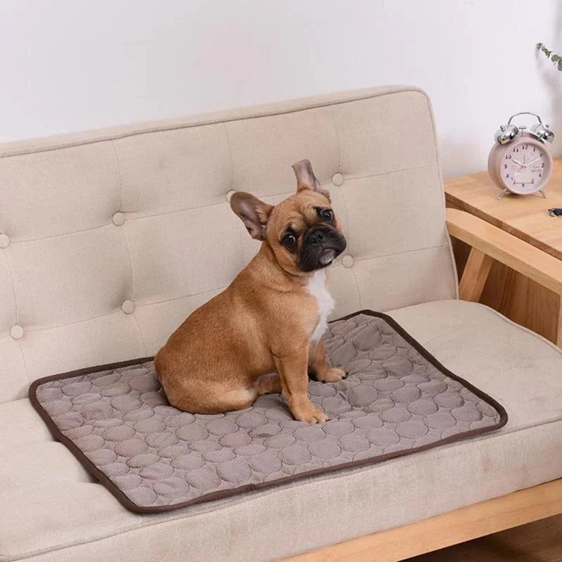 BowLift | Cooling Pad for Pets
