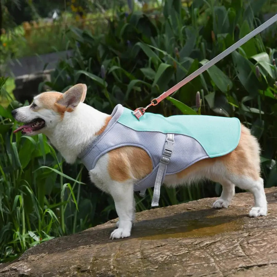 BowLift | Dog Cooling Vest for Outdoor Activities