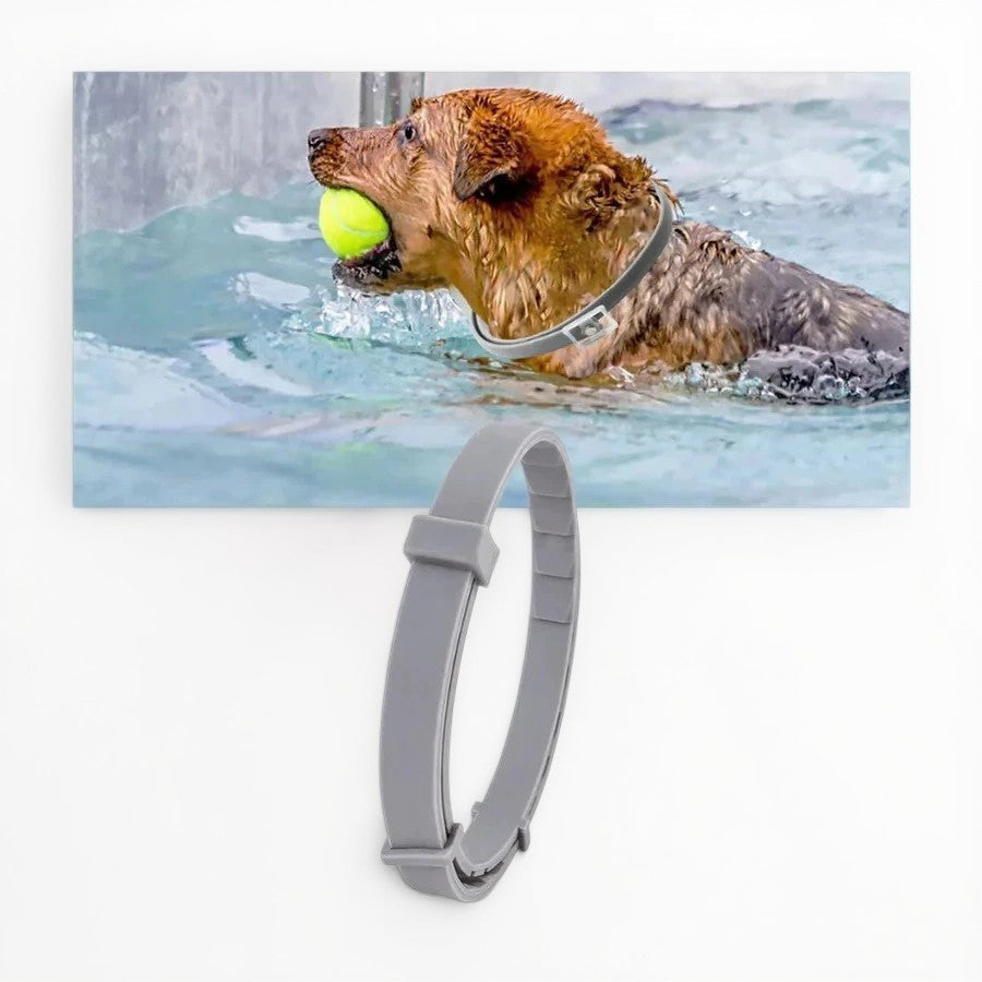 BowLift | Adjustable Pet Flea and Tick Repellent Collar – For Dogs and Cats, Water-Resistant