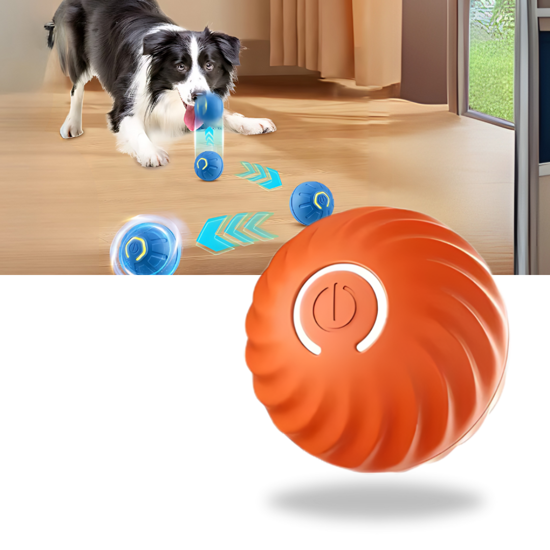 BowLift | Interactive Smart Dog Ball Toy
