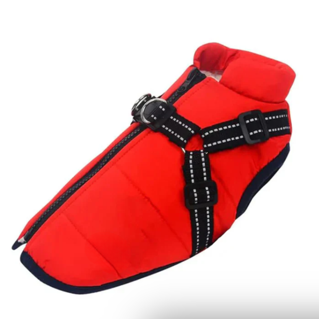 BowLift | Dog Coat Harness Winter Walks