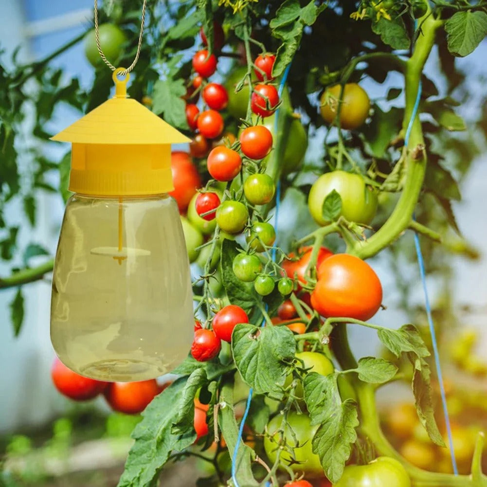 BowLift | Hanging Fruit Fly Trap