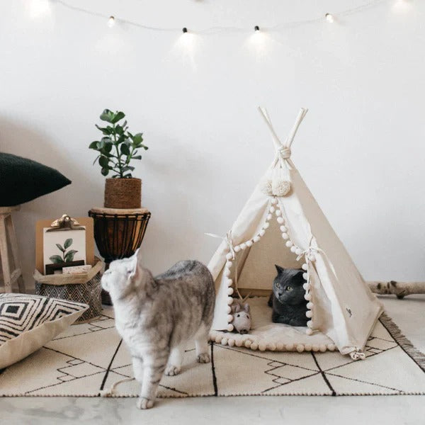 BowLift | Bohemian Pet TeePee
