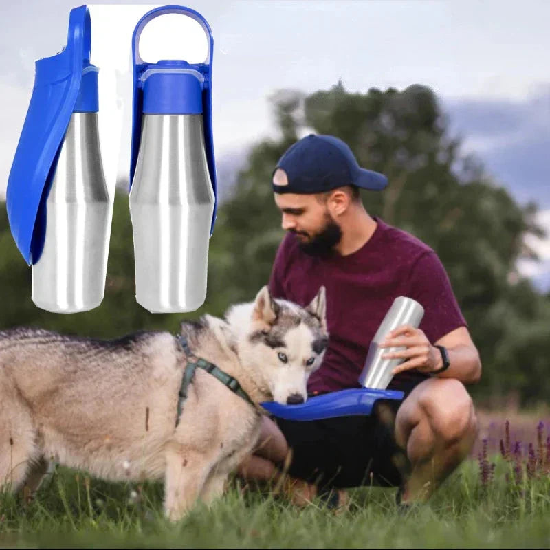 BowLift | Insulated Dog Water Bottle | Stainless Steel, Leak-Proof & Perfect for Travel and Outdoor Adventures