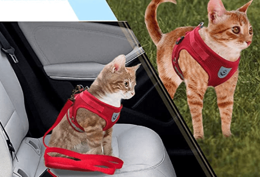 BowLift | Escape-proof cat harness with reflective details