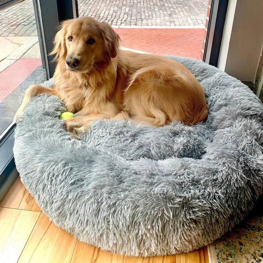 BowLift | Calming Dog Bed