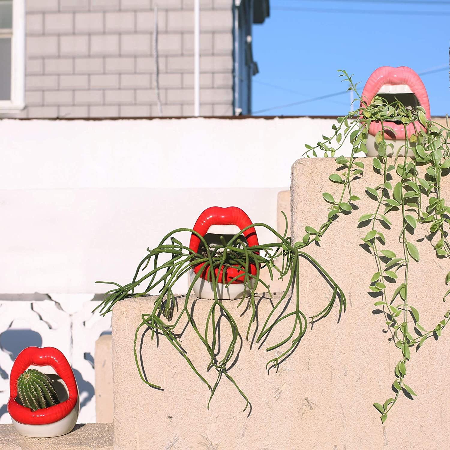 BowLift | Lips Flower Pot