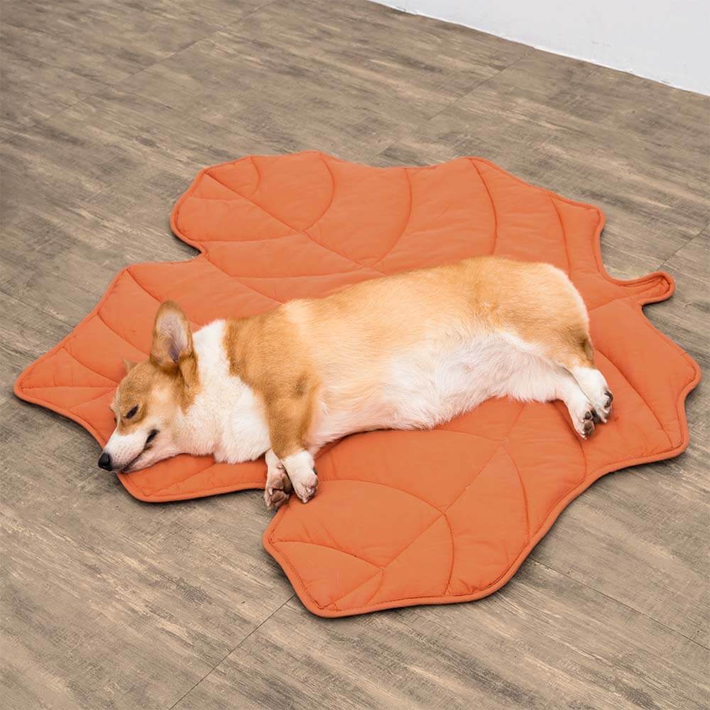 BowLift | Dog Blanket Mat for Large Pets