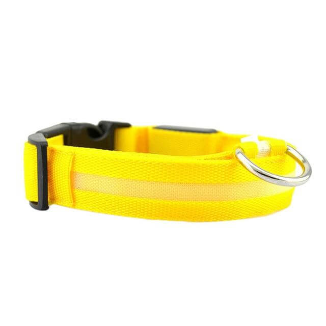 BowLift | GlowPets LED Collar – Safety & Visibility for Pets